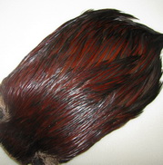 ������ ������ Indian cape dk brown badger